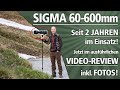 SIGMA 60-600mm 4.5-6.3 Sports 2-JAHRES-REVIEW inkl. Fotos & Statistiken!