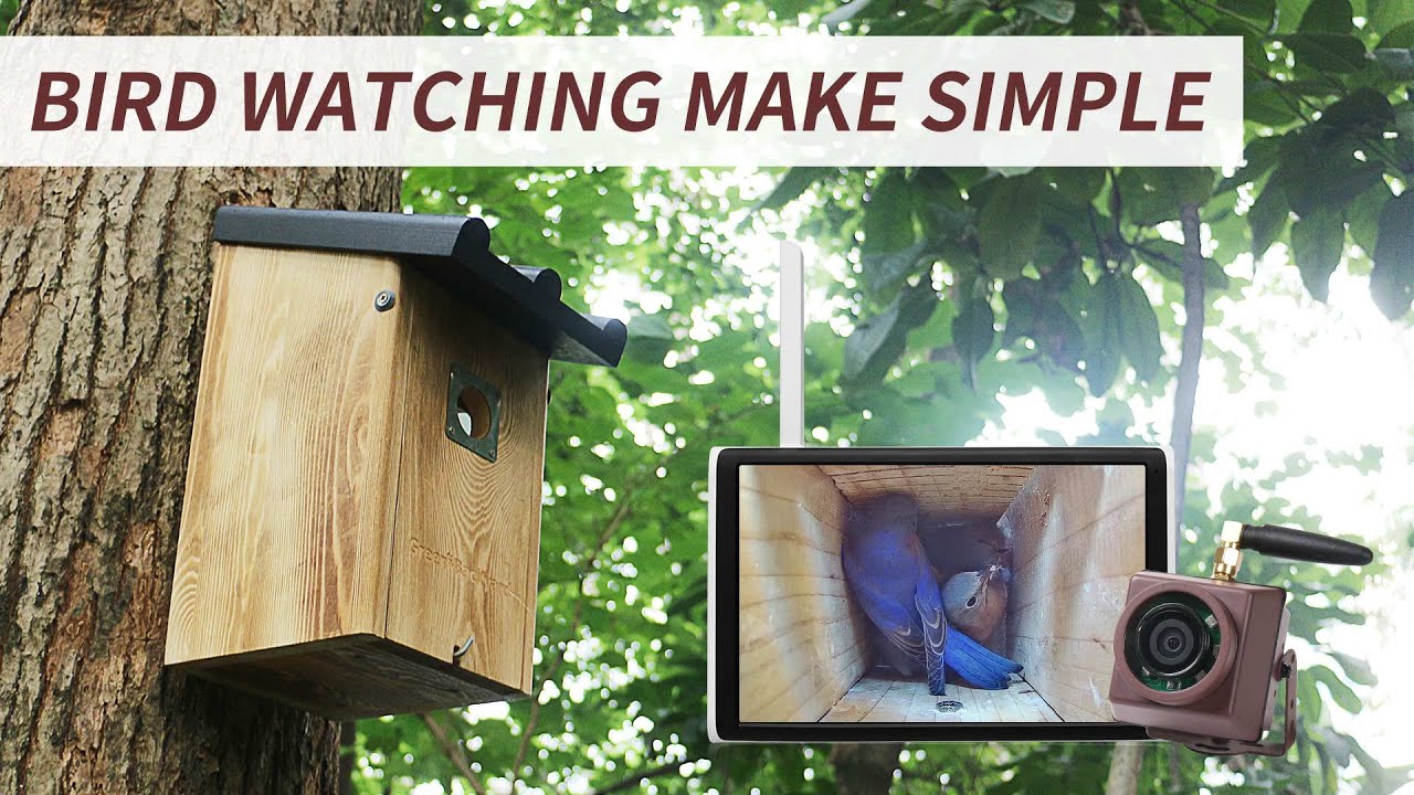Nichoir Eazy Avec Caméra WiFi Et Panneau Solaire – Observation Oiseaux En Direct – Trou 30 Mm – Vert Naturel