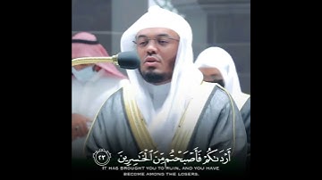 تلاوة رائعة للشيخ ياسر الدوسري من سورة فصلت. مقتبس من صلاة الفجر.
