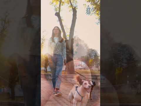 Βίντεο: Su Perro y los Peligros del Verano