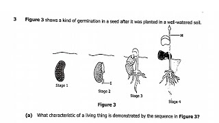 2024 GCE Biology paper 2- Growth/Germination Exam revision
