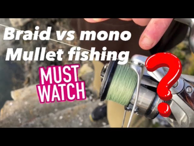 BRAID vs MONO FOR MULLET-UK MULLET-MULLET SERIES-PAUL BASSMAN