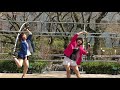 オレンチェ 「やきとりバンザイ」ちはるバージョン
