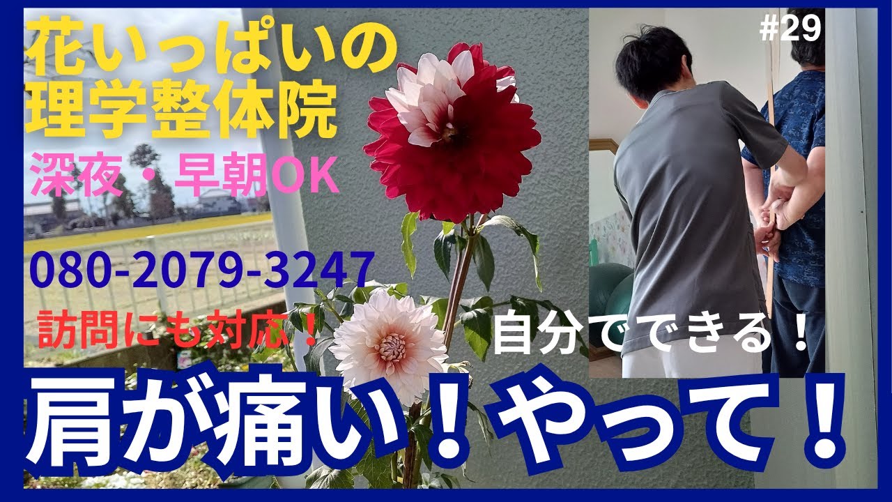 花いっぱいの理学整体院。肩が痛い方へ。