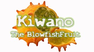Kiwano - The Blowfish Fruit