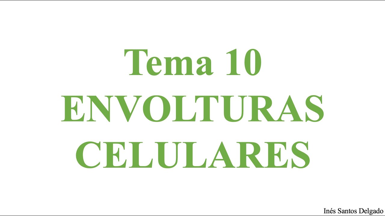 T10.  Envolturas celulares