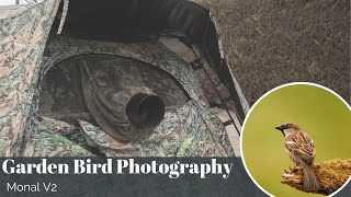 Garden Bird Photography | Tragopan Monal V2 | + Competition Winner!