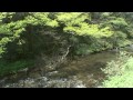 帝釈峡と雄橋