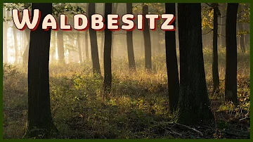 Wem gehört der Wald in Deutschland?