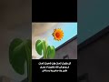 حنيت الك سيد فاقد الموسوي  313