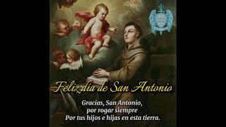Simplemente gracias, San Antonio de Padua. #catolico #catolicismo #sanantoniodepadua #sanantonio #fe