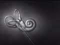 How the Ear Functions (1940) | Auditory Science