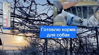 Утро Мороз Зернодробилка//Корма для домашних животных//Какое зерно можно давать собакам и кошкам