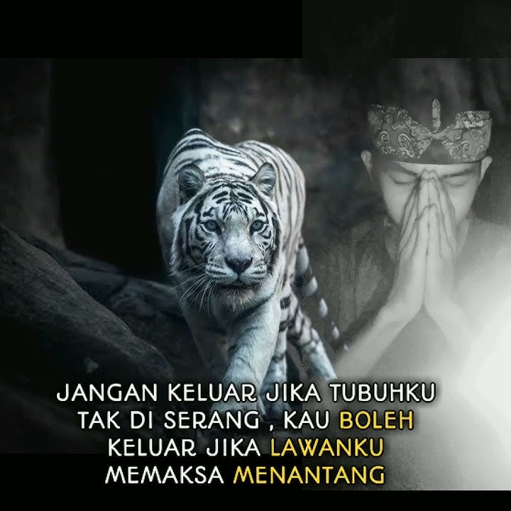Story WhatsApp khodam macan putih