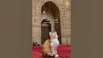 سورة المعارج | فَاصْبِرْ صَبْرًا جَمِيلًا❤️القارئ/ كامل يوسف البهتيمي🎙️#القرآن_الكريم #البهتيمي