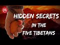 HIDDEN SECRETS in the Five Tibetans (MUST WATCH) | TopicRuben