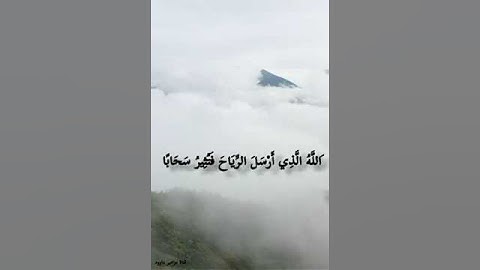 تلاوه خاشعه للشيخ محمد عمران