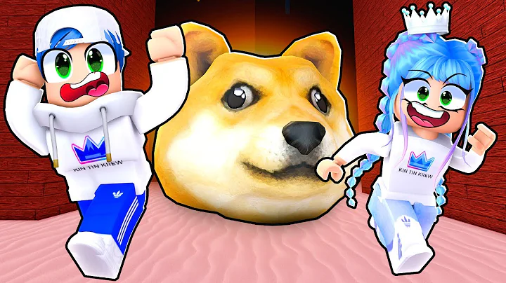 Roblox Doge Head Escape! Finding All The Lost Kittens