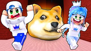 Roblox Doge Head Escape! Finding All The Lost Kittens screenshot 3