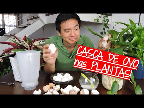 Vídeo: Casca De Ovo No Jardim