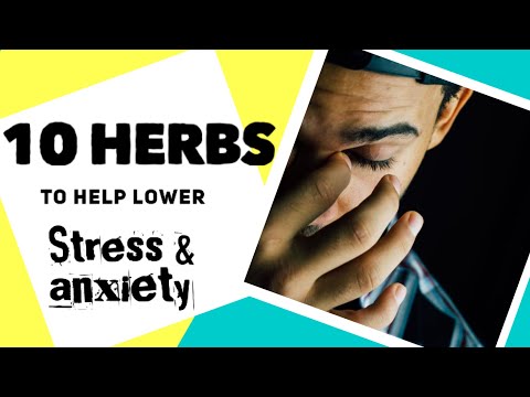 10 Herbs to help lower your STRESS and ANXIETY levels