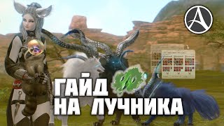 ГАЙД НА ЛУЧНИКОВ В ARCHEAGE. ШМОТ, ГРАВЫ, СБОРКИ, БИЛДЫ | HAWKEYE