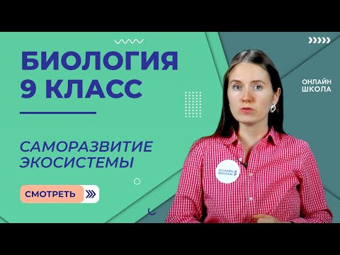 Саморазвитие экосистемы. Видеоурок 32. Биология 9 класс