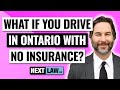 What if you drive with No Insurance in Ontario in 2024