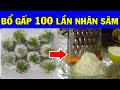 Chỉ cần NÉM vài quả chanh vào ngăn đá, bạn sẽ có ngay một THẦN DƯỢC triệu ngời thèm