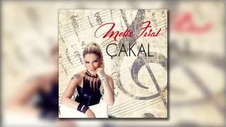 Melis Fırat - Çakal Resimi