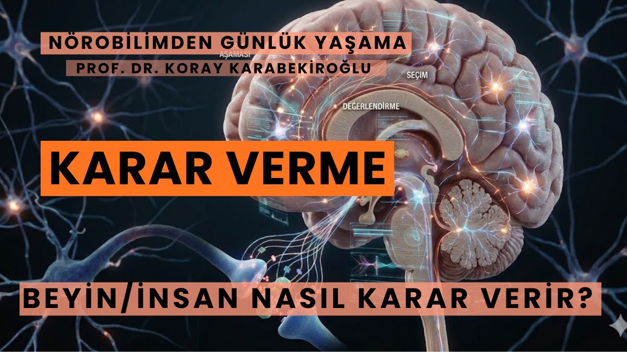 Beyin/İnsan Nasıl Karar Verir?