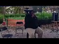 Genuene -  The System at Hand Live Performance (Updated)