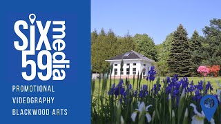 Six59 Media | Blackwood Arts