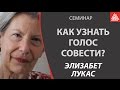 Совесть. Как узнать голос совести. Фрагмент семинара Элизабет Лукас в Москве