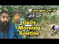 Daily Morning Routine || Kashif javeed || Small business tips💡