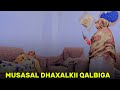 MUSASALKA DHAXALKII QALBIGA XALQADII 51 AAD MUSASALKA DHAXALKII QALBIGA XALQADII 51 AAD
