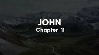 John Chapter 11- English Standard Version ESV Audio Bible