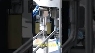 Zhongchuang Multi-head Weigher Premade Zipper Bag Packing Machine for Dried Fungus | High Accuracy