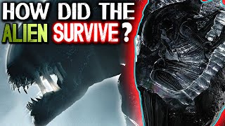 How the Xenomorph Survived in Space? Special Cocoon Formation Explained - Alien Romulus Lore