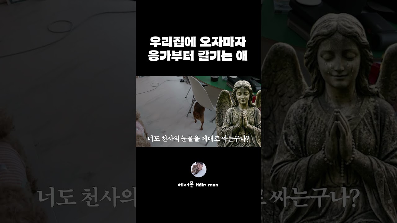 배변교육 안시켰니?!