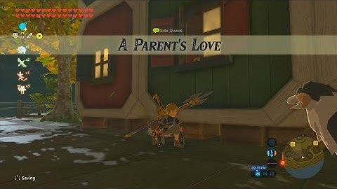 The Legend of Zelda: Breath of the Wild (Wii U) - Side Quest - A Parent