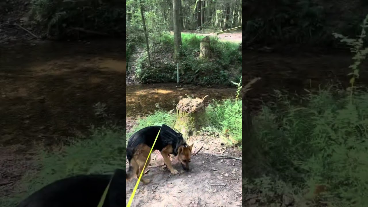 What are soul groups