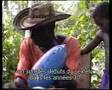 Capture de la vidéo Film Los Reyes Criollos De La Champeta