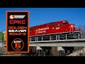 Rare canadian pacific golden beaver sd402