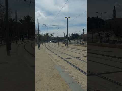 القطار الخفيف باب العامود في القدس 