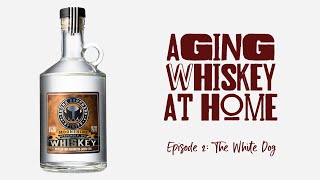 Aging Whiskey at Home | Episode 2: The White Dog