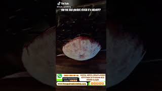 Ortaya Karışık Rahatlatıcı Videolar Part 1242