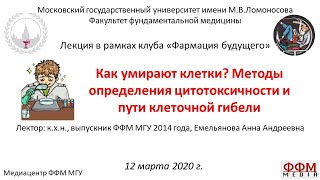 А.А. Емельянова - Как умирают клетки? Методы определения цитотоксичности и пути клеточной гибели