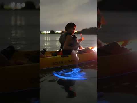 You've Gotta Try: Bioluminescence Kayaking in Cocoa Beach