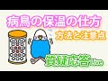 病鳥の保温の仕方【質疑応答ライブ】